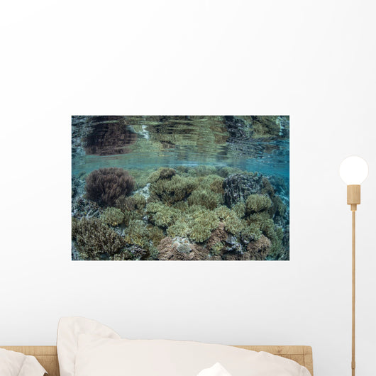 Reef Coral Triangle Wall Decal