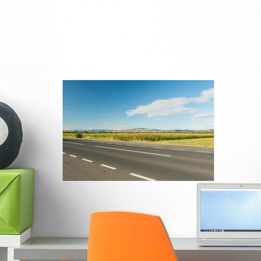 Country Road Landscape Summer Wall Decal