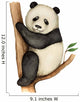 Panda Wall Decal