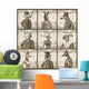Animals Portrait Wall Decal