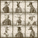 Animals Portrait Wall Decal