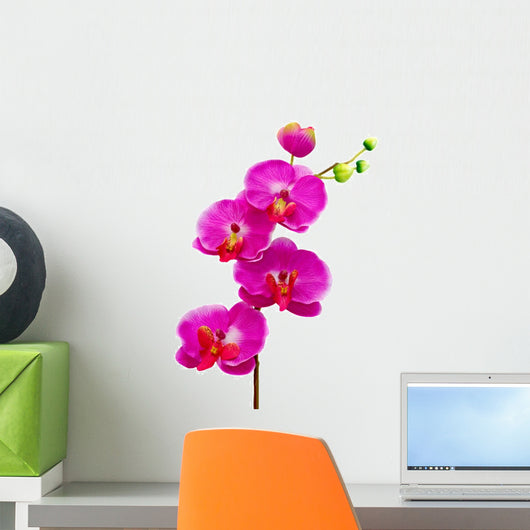 Artificial Orchid Flower White Wall Decal