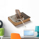 Old Book and Fountain Wall Decal
