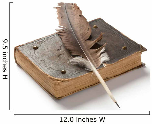 Old Book and Fountain Wall Decal
