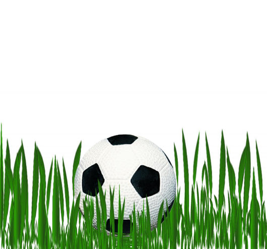 Sport Wall Decal