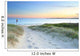 Sandy Path to Greenhills Wall Decal