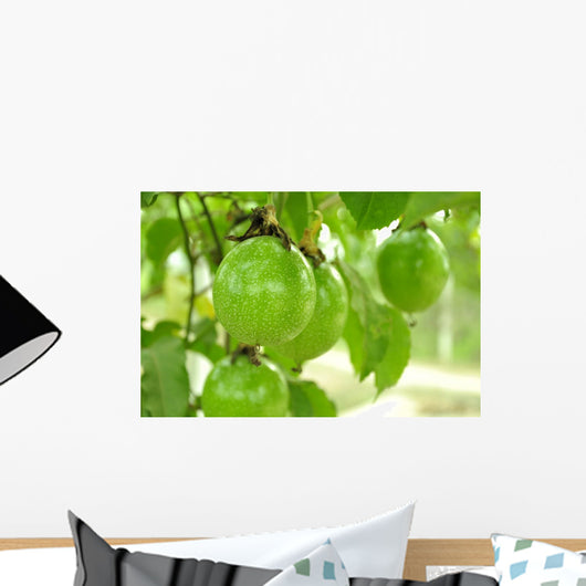 Passion Fruit for Make Wall Decal