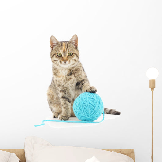 Cat with ball of yarn Wall Decal