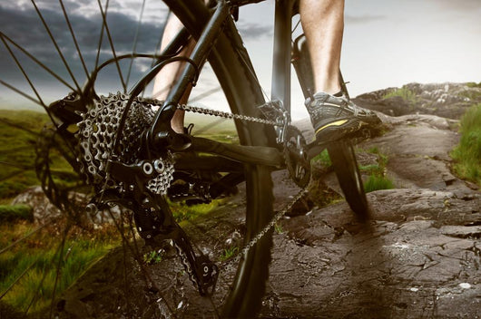 Mountain Bike Wall Decal