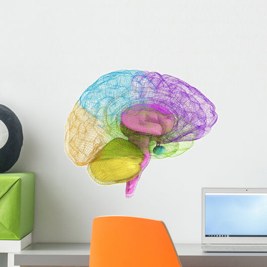 Creative concept of the human brain Wall Decal