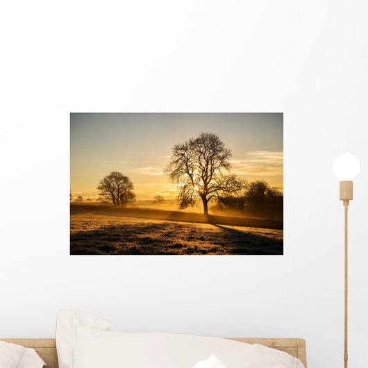 Sunrise Fields Cornwall UK Wall Decal