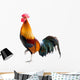 Rooster Wall Decal