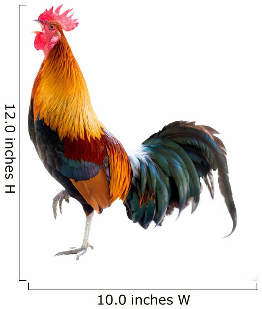 Rooster Wall Decal