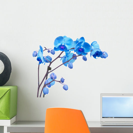 blue orchid flowers Wall Decal
