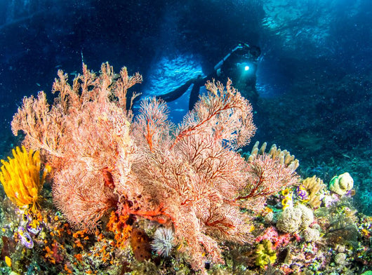 Cave Diving Raja Ampat Wall Decal
