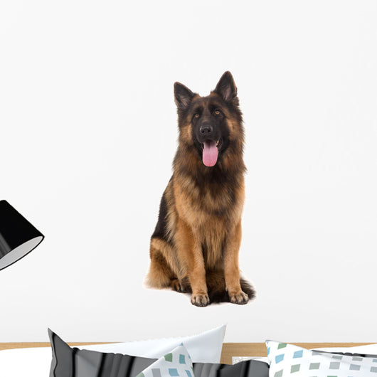 Sitting German Shepherd Dog Wall Decal