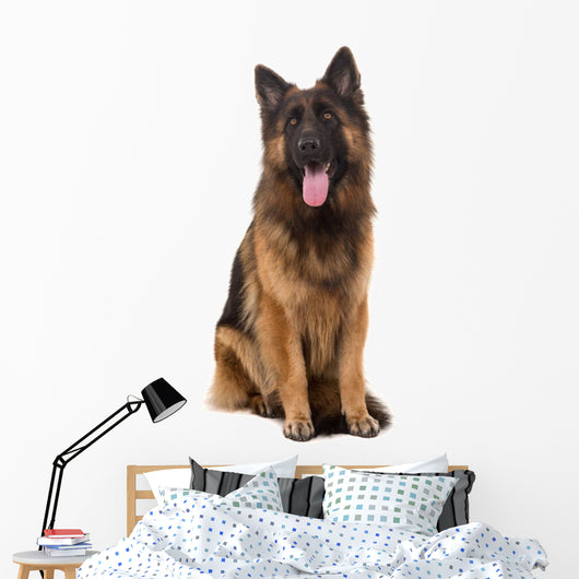 Sitting German Shepherd Dog Wall Decal