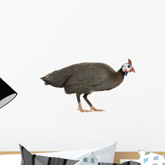 Guinea Fowl Bird Wall Decal