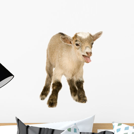 Farm Decals - Pygmy Goat Kit Wall Decal