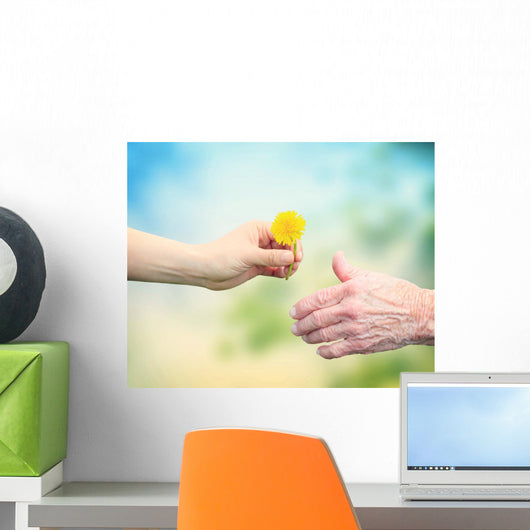 Young woman giving a dandelion to senior woman Wall Decal