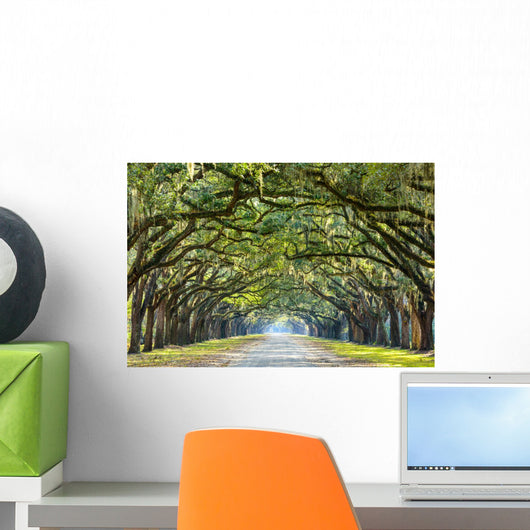 Country Road Lined with Wall Decal