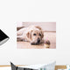 Birthday Labrador Retriever Wall Decal