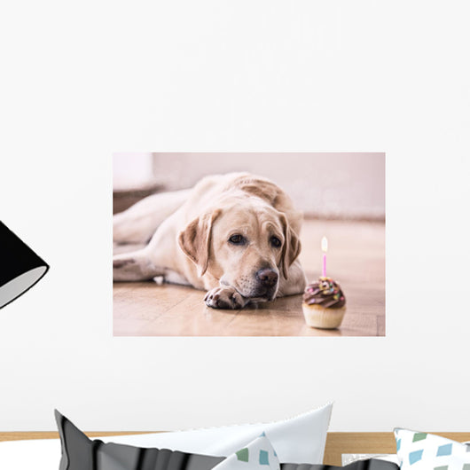 Birthday Labrador Retriever Wall Decal