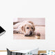 Birthday Labrador Retriever Wall Decal