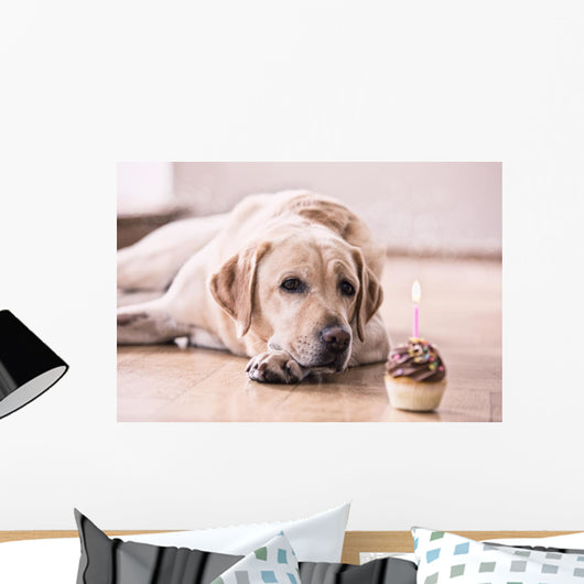 Birthday Labrador Retriever Wall Decal