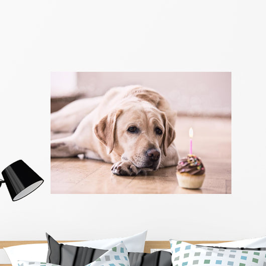 Birthday Labrador Retriever Wall Decal