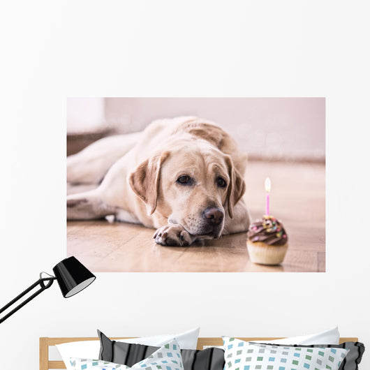 Birthday Labrador Retriever Wall Decal