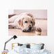 Birthday Labrador Retriever Wall Decal