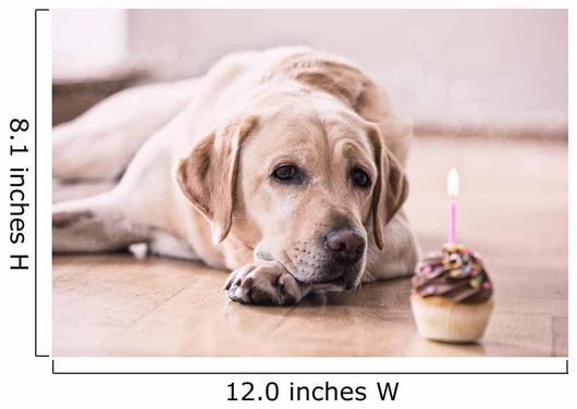 Birthday Labrador Retriever Wall Decal