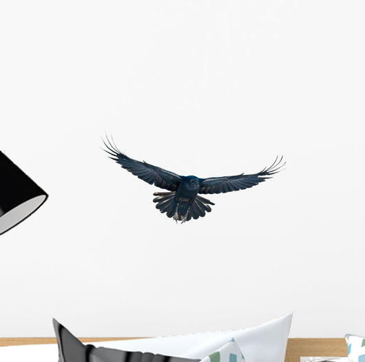 Raven in flight on white Wall Decal