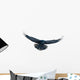 Raven in flight on white Wall Decal