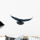 Raven in flight on white Wall Decal