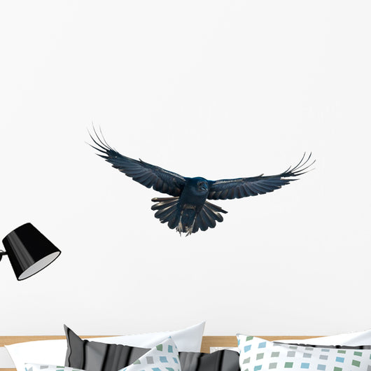 Raven in flight on white Wall Decal