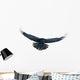 Raven in flight on white Wall Decal