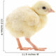 Baby Chick Chicken Wall Decal