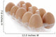 Carton Organic eggs Wall Decal