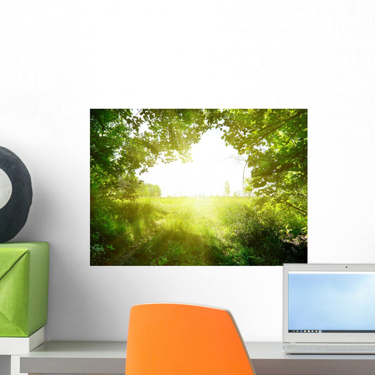 Path in the forest Wall Decal