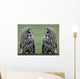 Great grey gray owls Wall Decal