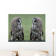 Great grey gray owls Wall Decal