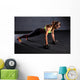 beautiful woman at the gym Wall Decal