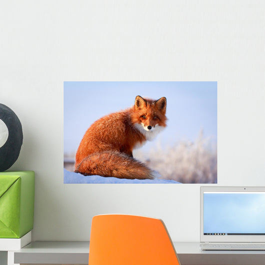 red fox Wall Decal