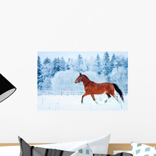 Chestnut horse run gallop in winter Wall Decal
