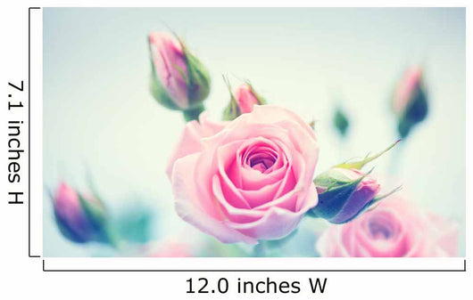 Beautiful pink roses. Vintage styled card design Wall Decal
