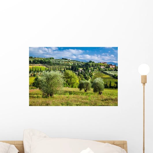 Vineyards And Olive Trees Wall Decal