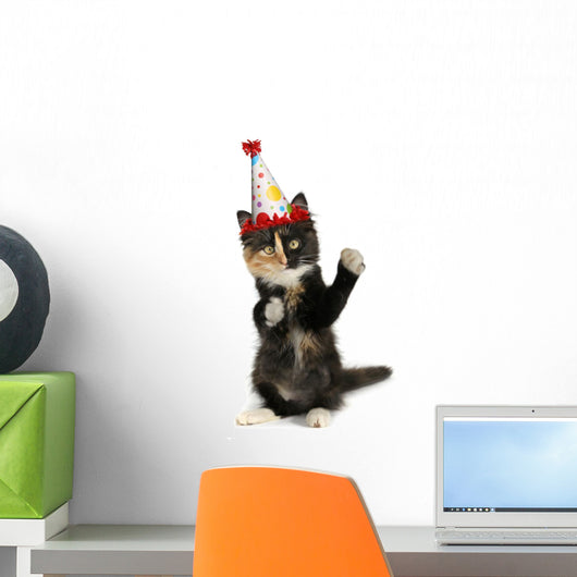 Adorable Kitten on a White Background With Birthday Hat Wall Decal