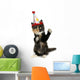 Adorable Kitten on a White Background With Birthday Hat Wall Decal